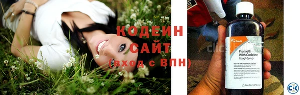 дмт Богородицк
