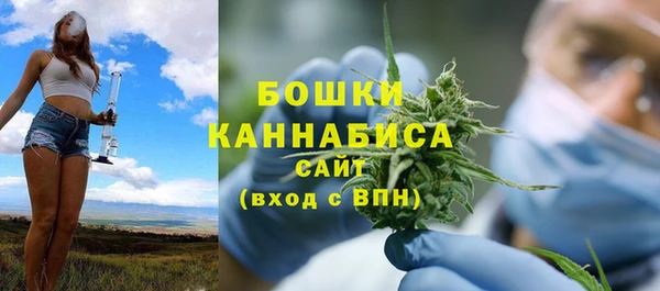 стафф Богородск