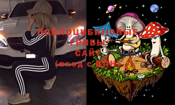 стафф Богородск