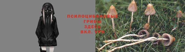 синтетический гашиш Богданович