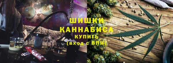 стафф Богородск