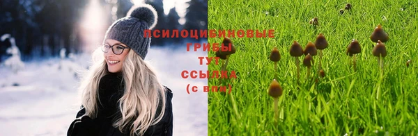 синтетический гашиш Богданович