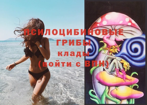 дмт Богородицк