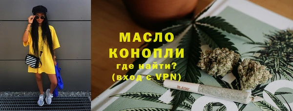 дмт Богородицк