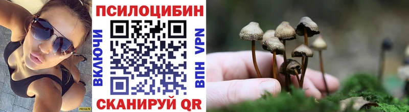 МЕГА зеркало Онега Псилоцибиновые грибы MAGIC MUSHROOMS как найти закладки
